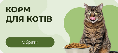 Корм для котів