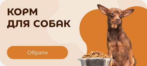 Корм для собак