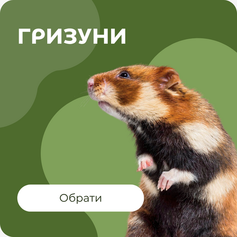 Гризуни